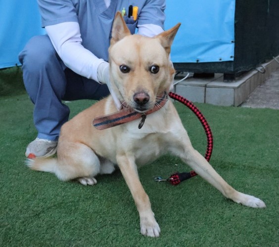 제주 동물보호센터_450650202503061